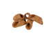 Cialde Cannoli Siciliani Mignon SIQULO SUGNU SCURI 2.8 KG