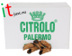 Cialde Cannoli Siciliani mignon glassati al Cioccolato 3.5 KG